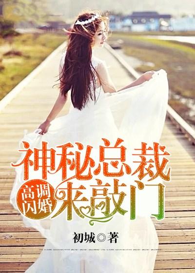 蚀骨闪婚神秘总裁的私宠完整版