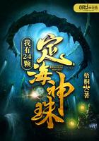 我有24颗定海神珠电子书