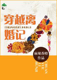 穿越王妃离婚记