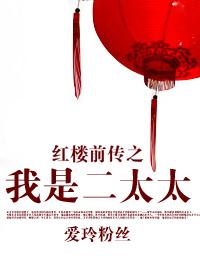 红楼前传之我是二太太文档