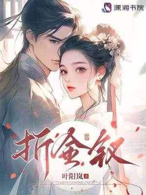 折金钗叶阳岚免费阅读