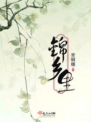 锦乡里青铜穗TXT