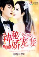 夺心掠爱:金主的神秘娇宠妻