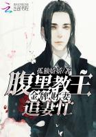 金牌财妻:腹黑教主追妻忙