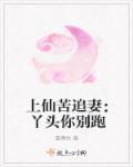 上仙苦追妻:丫头你别跑