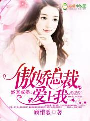 盛宠成婚,傲娇总裁爱上我
