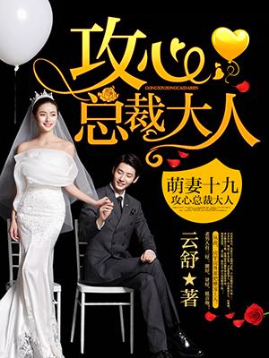 萌妻十九:攻心总裁大人