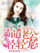 娇妻入怀:霸道老公,轻轻宠