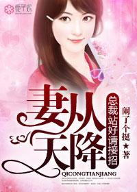妻从天降,总裁站好请接招!