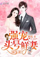 强宠头号鲜妻:陆少,滚!