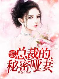 暖婚萌宝:总裁的秘密哑妻
