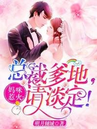 妈咪惹火:总裁爹地,请淡定!