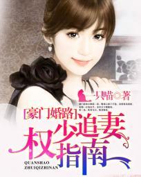 豪门婚路:权少追妻指南