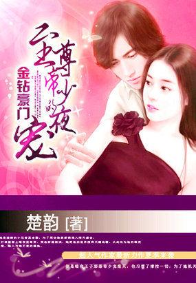 金钻豪门:至尊帝少的盛宠