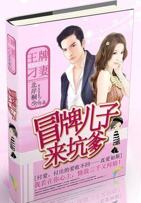 冒牌儿子来坑爹:王牌刁妻