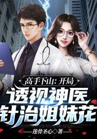 高手下山:开局透视神医,针治姐妹花