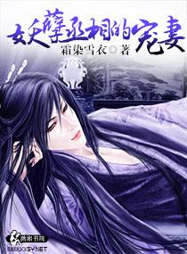 妖孽丞相的宠妻