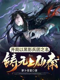开局以黑影兵团之名,铸无上仙秦