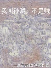 我叫孙贼,不是贼