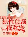 先做后爱:狼性总裁夜欢宠