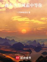 我在雪月风霜中等你