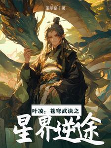 叶凌:苍穹武诀之星界逆途