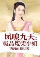 凤唳九天:极品废柴小姐
