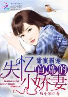 甜蜜霸宠:首席的失忆小娇妻