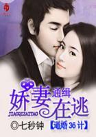 娇妻通缉在逃:逼婚36计