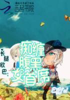 长腿欧巴:痴缠腹黑女首席