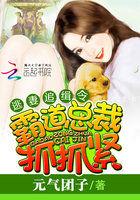 逃妻追缉令:霸道总裁抓抓紧