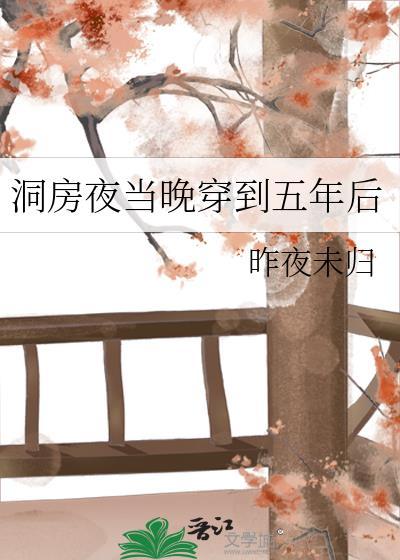 洞房夜当晚穿到五年后
