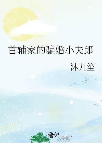 首辅家的骗婚小夫郎
