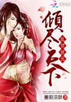 乱世状元:倾尽天下