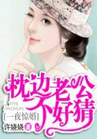 一夜惊婚:枕边老公不好猜