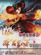 女佣兵穿越2:笑看风云起(一笑取江山)