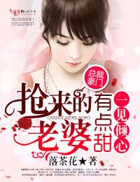 一见倾心,抢来的老婆有点甜