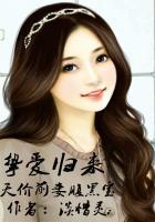 挚爱归来:天价前妻腹黑宝