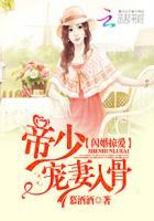 闪婚掠爱:帝少宠妻入骨