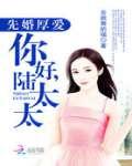 先婚厚爱:你好,陆太太