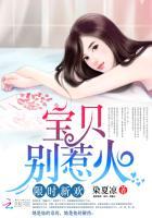限时新欢:宝贝,别惹火!
